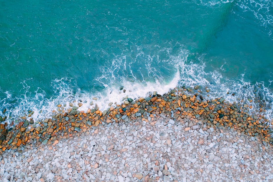 Mastering DNS on Linux: From Command-Line Queries to Packet-Level Analysis