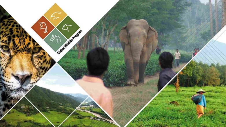 Navigating Ecosystem Clashes: When Package Management Philosophies Collide in Debian