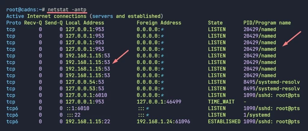 The Evolving Landscape of Linux DNS: Securing Network Communications with DNS-over-HTTPS