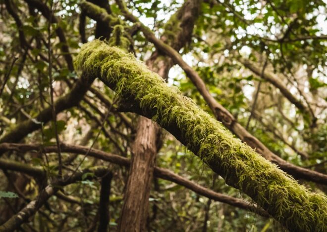 The Evolution of Linux Logging: From Syslog to Structured Observability