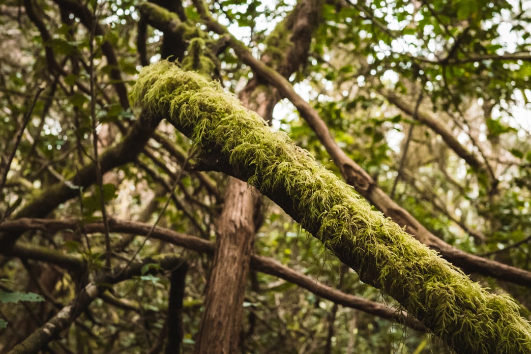 The Evolution of Linux Logging: From Syslog to Structured Observability