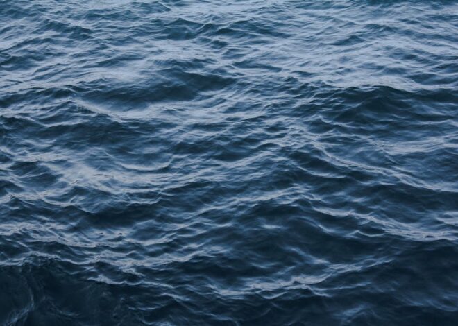 Unlocking the Power of Email Management: A Deep Dive into Dovecot Advanced Search Queries