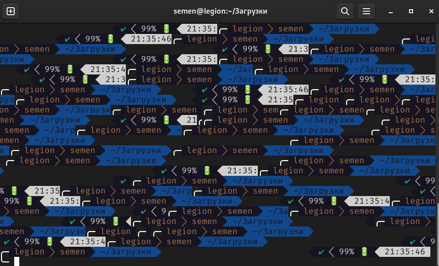 Zsh terminal screen - There may be a bug with the display in the zsh wayland terminal ...