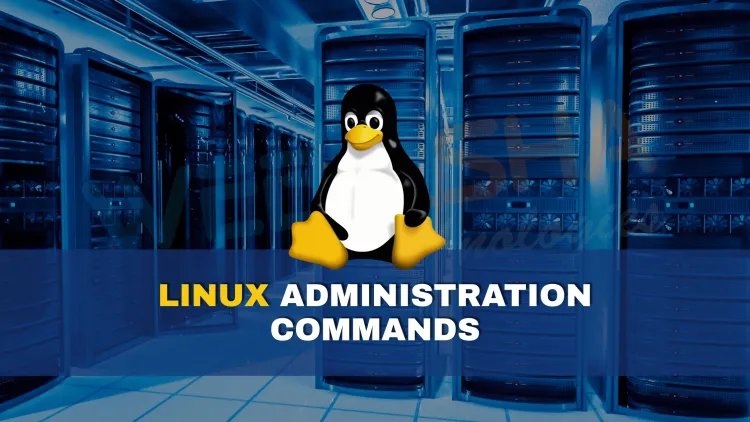 Network security diagram - Computer network security protection architecture. | Download ...