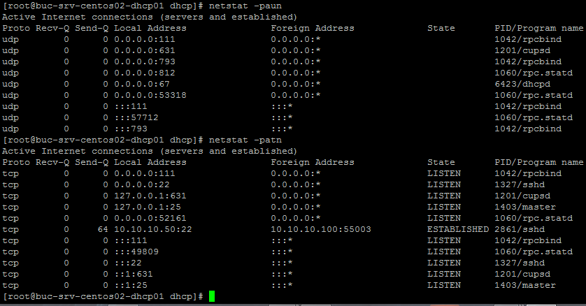 Linux DHCP server - How to install and configure a DHCP Server on a Linux machine ...