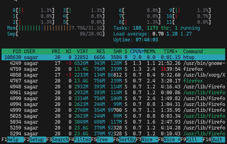 htop command line interface - A Guide to Linux System Monitoring: top, htop, btop, and glances