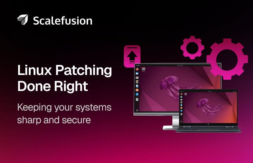 Linux server rack - Linux Servers, Server Hardware, Rack Mount Servers, Virtualization ...